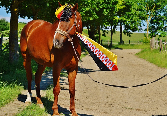 攻击型发球 攻击型发球