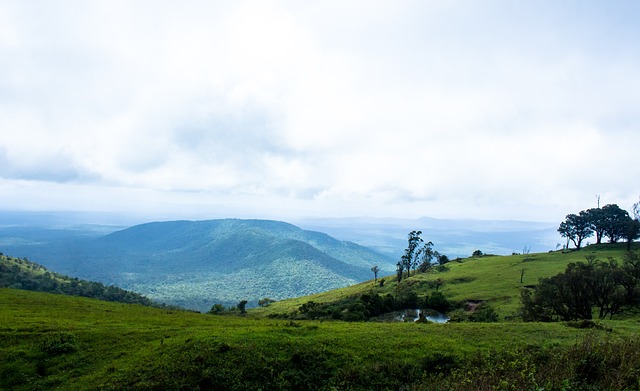 案例是首体 案例是首体