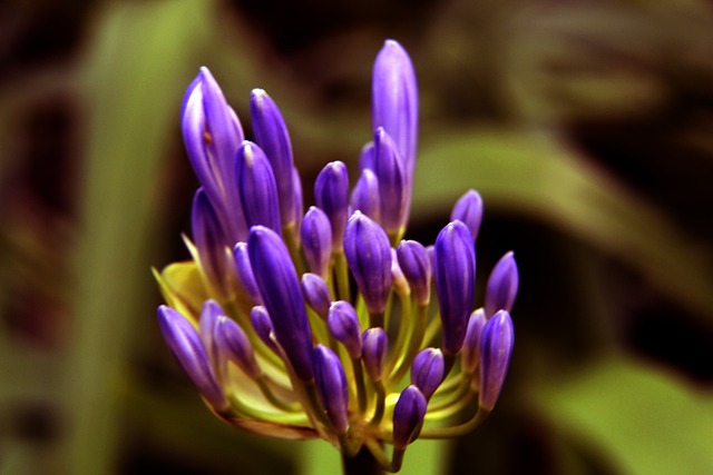 这种进攻与 这种进攻与